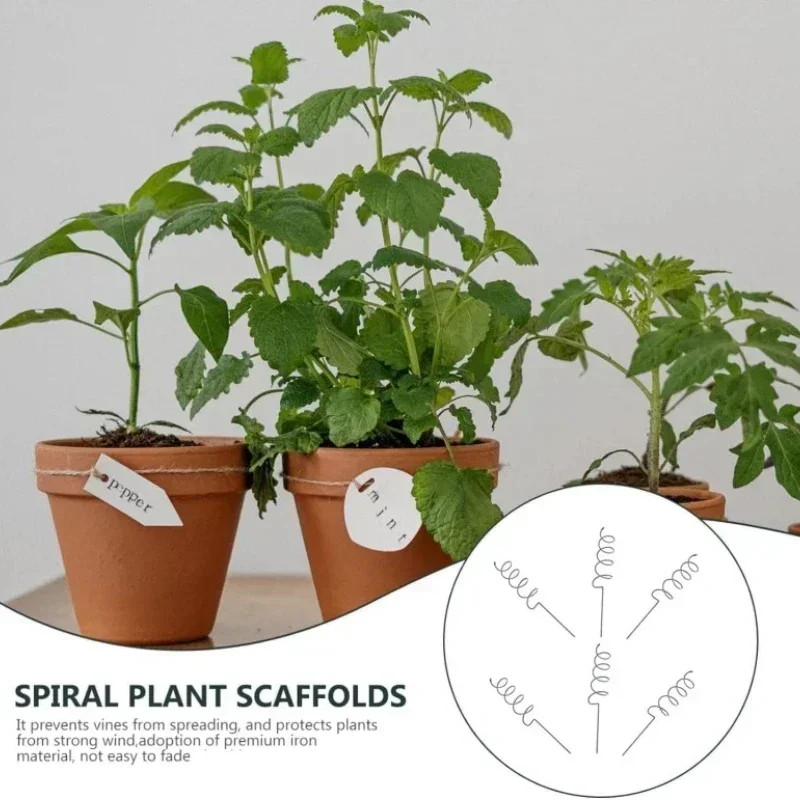 Bonsai Gardening - Soporte para Plantas Trepadoras, Estaca Espiral