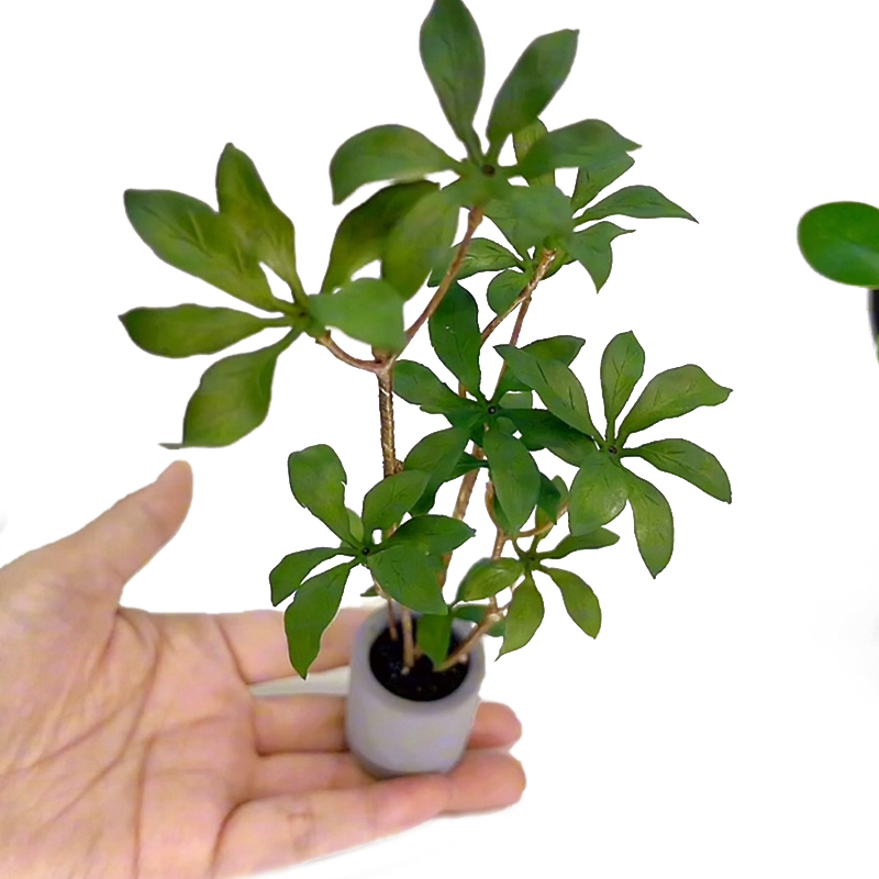 Bonsai Garden Home - Modelo de plantas en maceta en