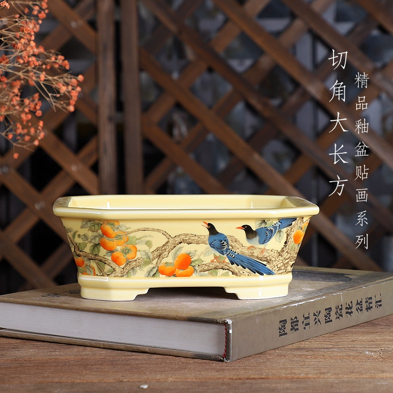 Bonsai Garden For Desk - Maceta para bonsái rectangular de porcelana,