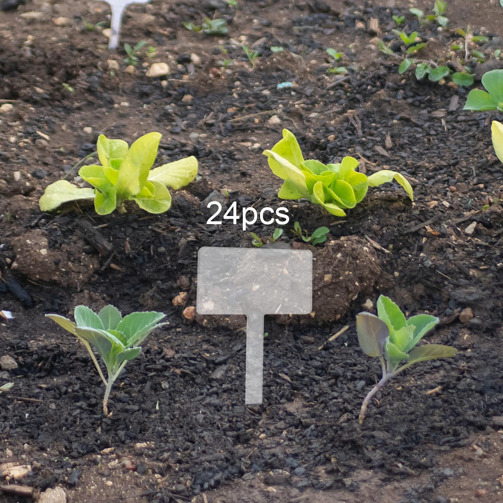 Bonsai Garden Name - 24 Etiquetas de Acrílico para Plantas,