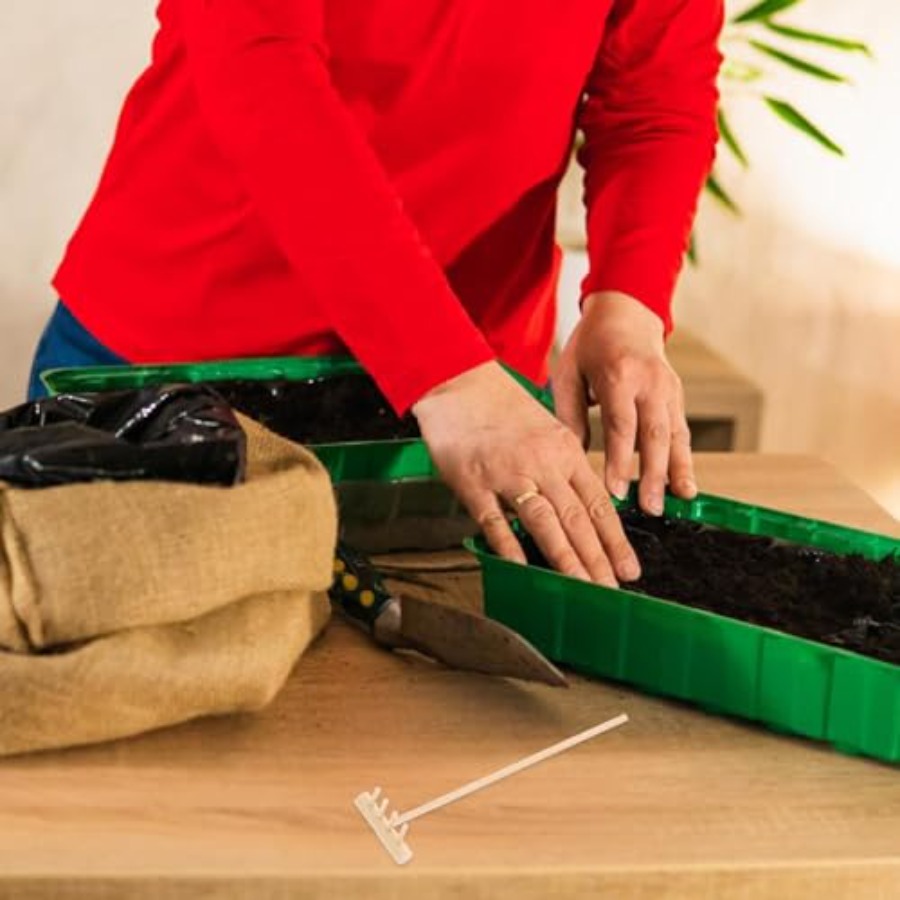 Juego de 4 Mini Rastrillos de  - Bonsai Zen Garden Set reseña y precio