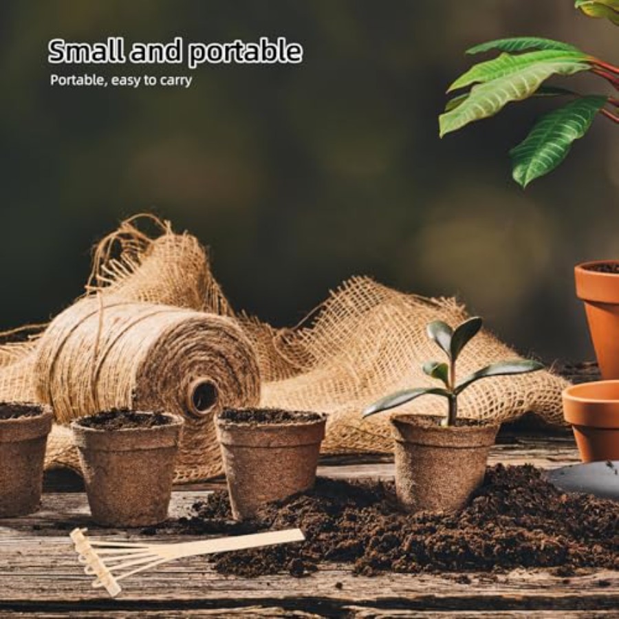 Juego de 4 Mini Rastrillos de  - Bonsai Zen Garden Set reseña y precio