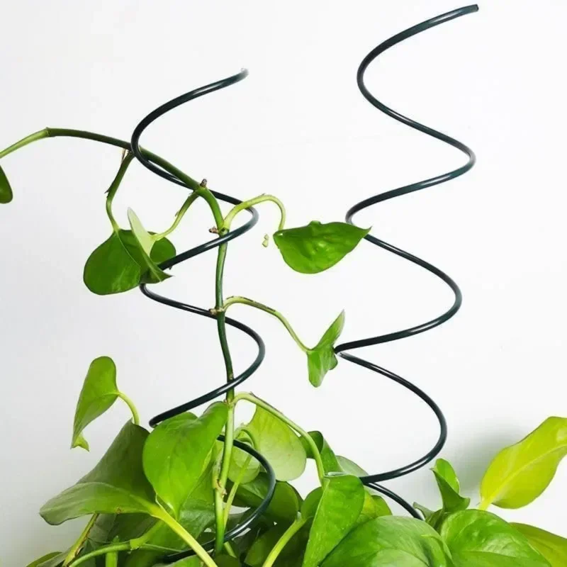 Soporte para Plantas Trepadora - Bonsai Gardening reseña y precio
