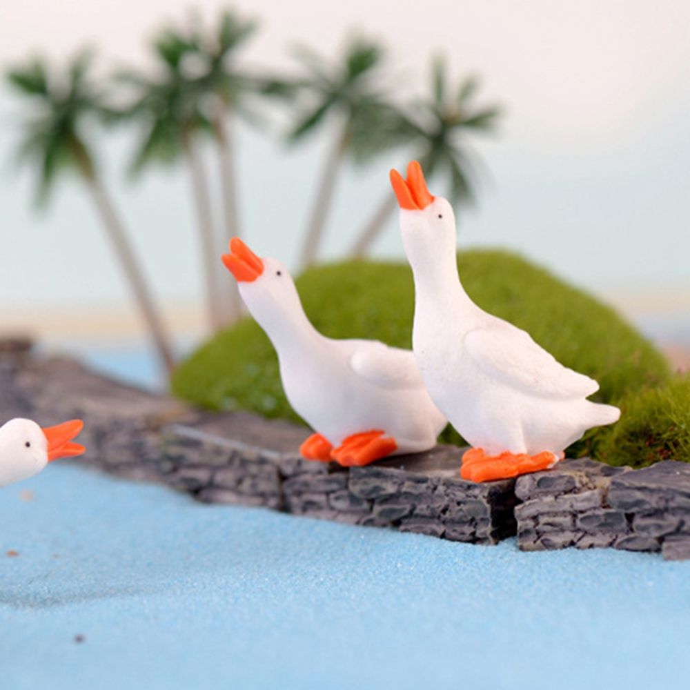 Decoración de Jardín Kawaii, R - Bonsai Garden For Desk reseña y precio