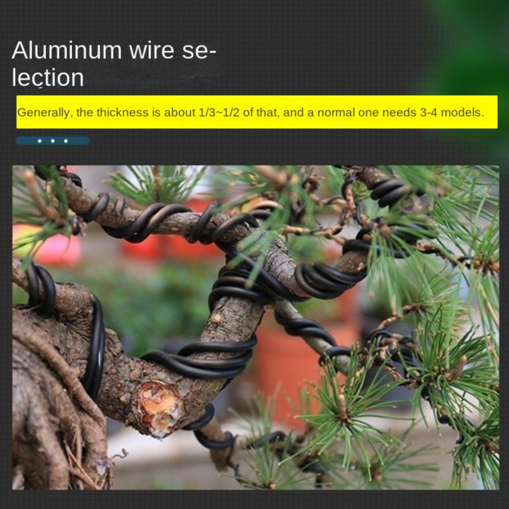Alambre de Aluminio para Bonsá - Bonsai Gardening reseña y precio