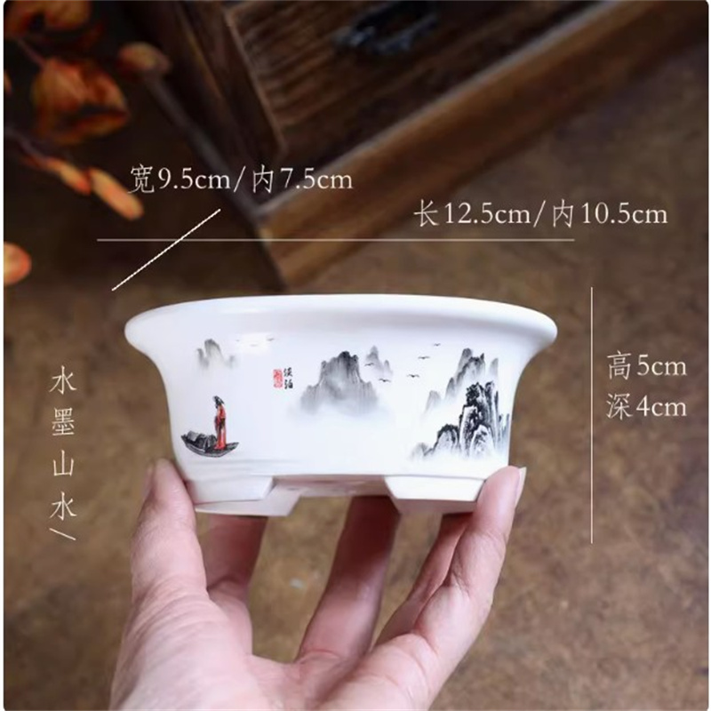 Maceta de bonsái ovalada blanc - Bonsai Garden For Desk reseña y precio