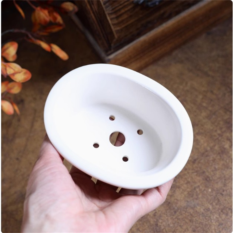 Maceta de bonsái ovalada blanc - Bonsai Garden For Desk reseña y precio