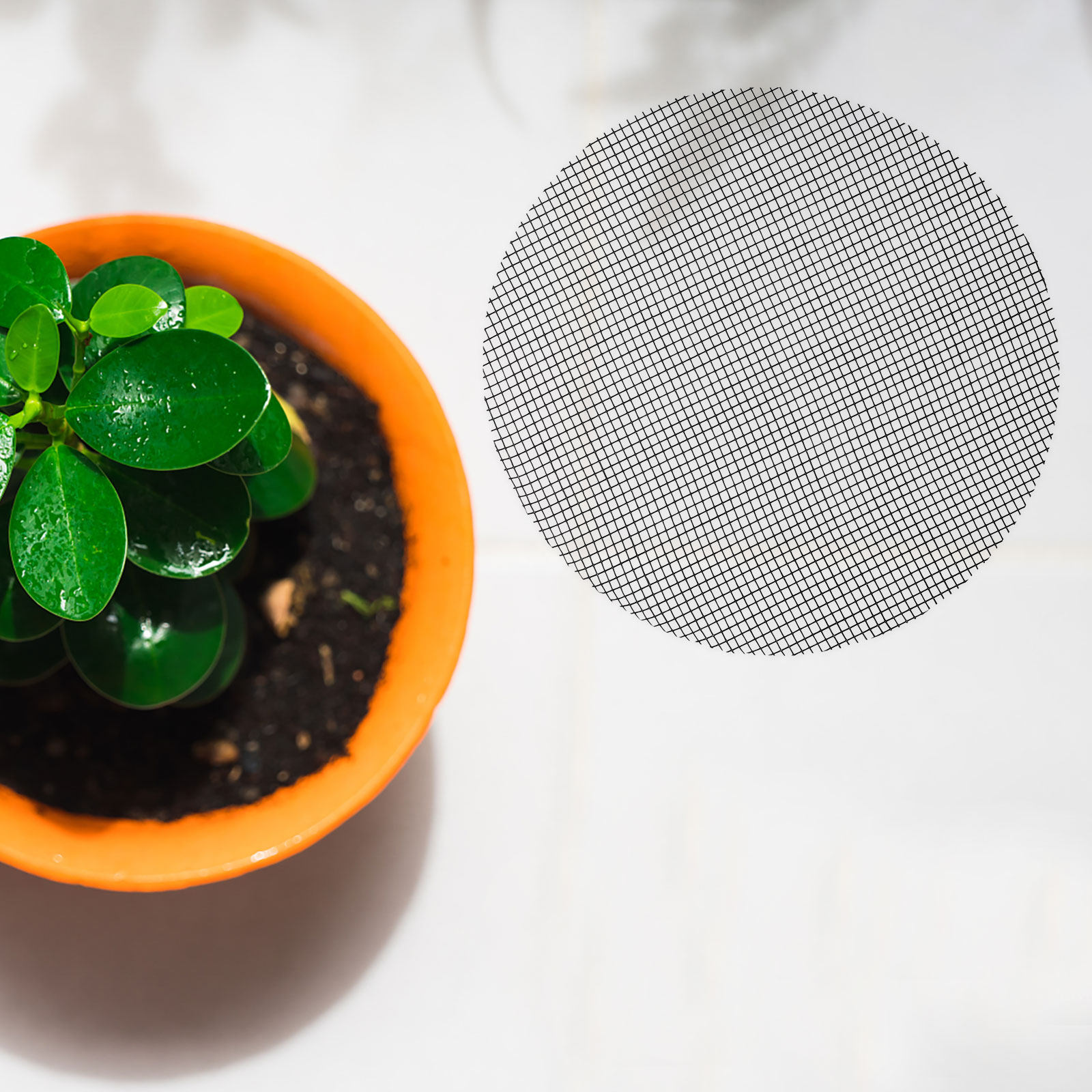 50 Piezas de Malla Redonda par - Bonsai Gardening reseña y precio