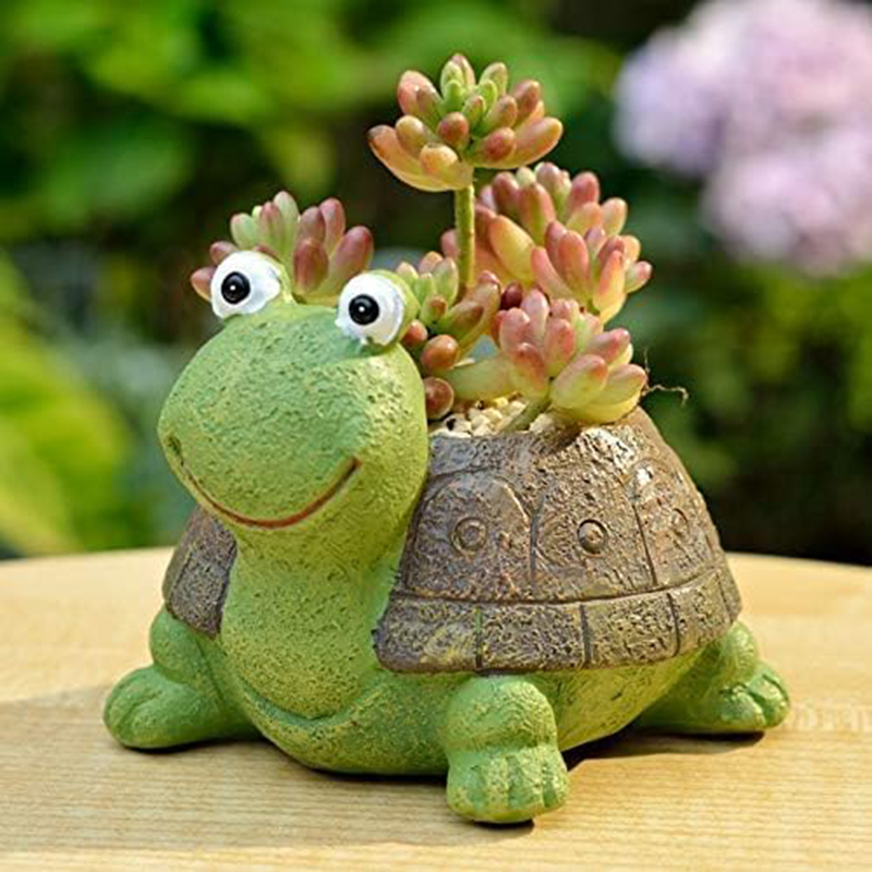 Maceta suculenta de tortuga pa - Bonsai Garden For Desk reseña y precio