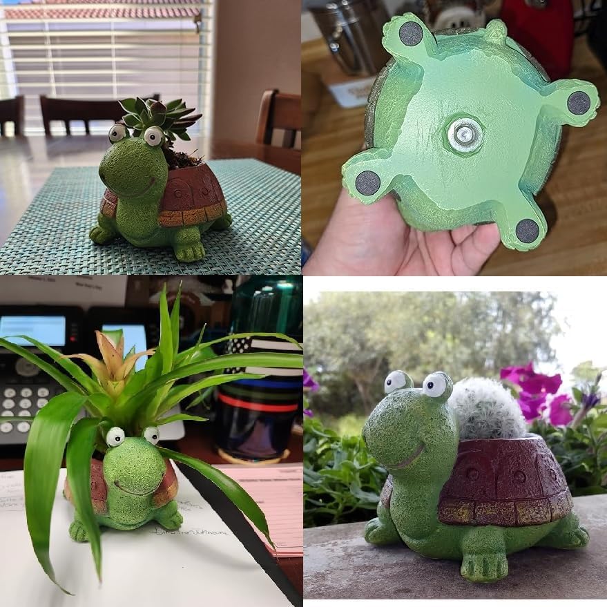 Maceta suculenta de tortuga pa - Bonsai Garden For Desk reseña y precio