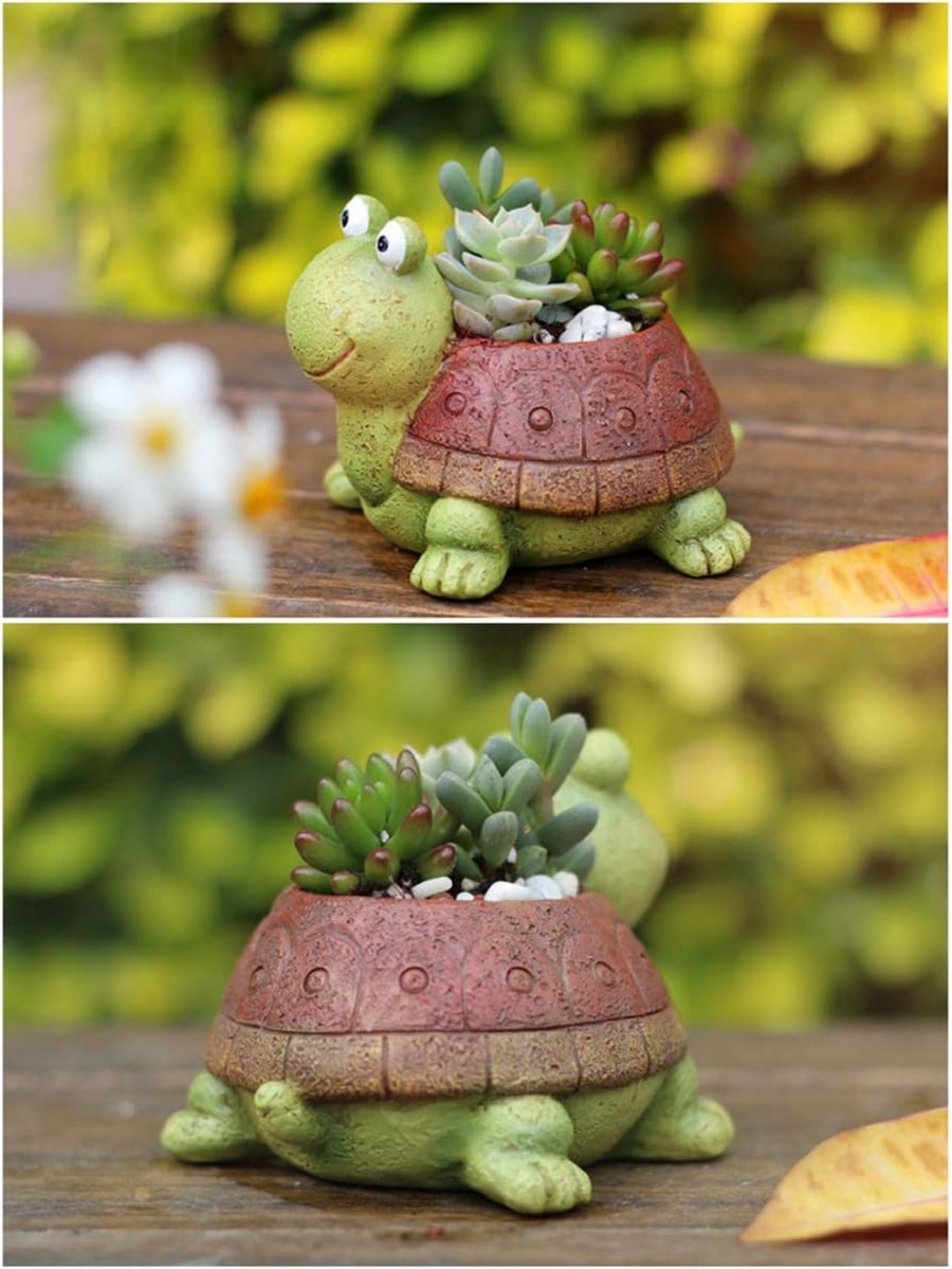 Maceta suculenta de tortuga pa - Bonsai Garden For Desk reseña y precio