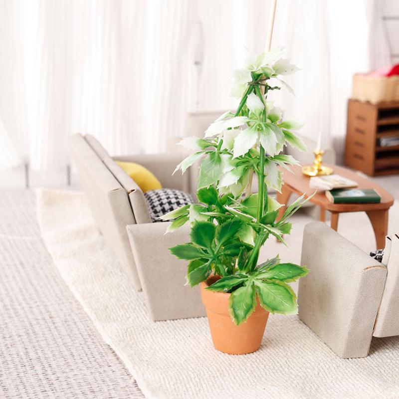 1/12 casa de muñecas simulació - Bonsai Gardening reseña y precio