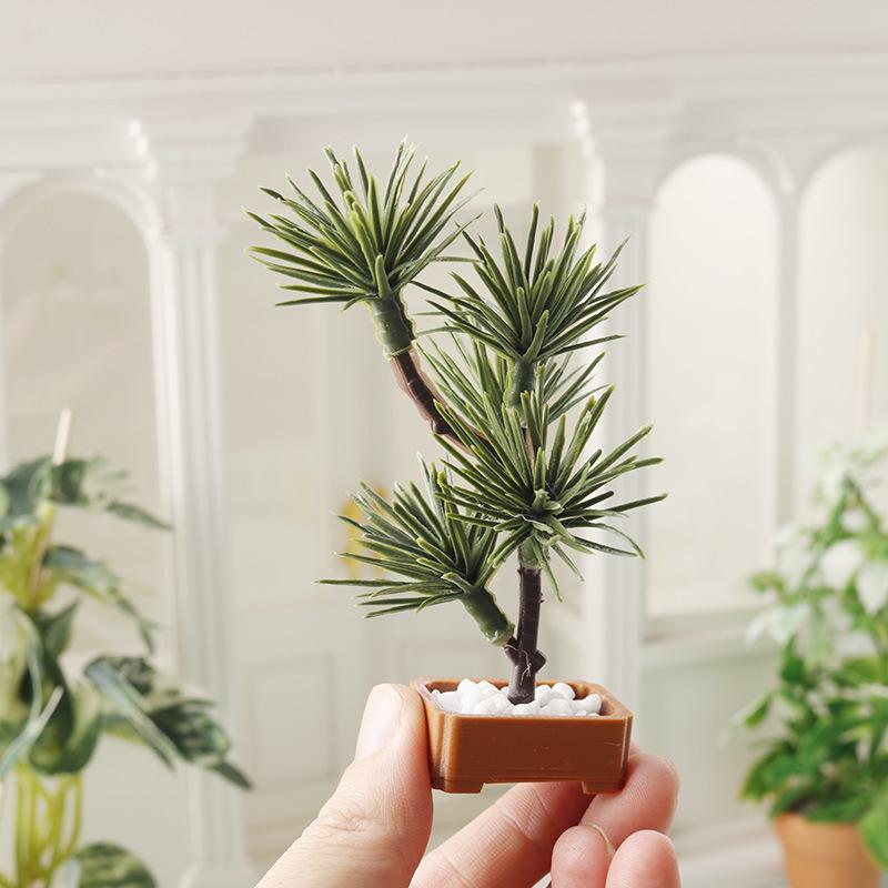 1 unidad de árbol de pino de s - Bonsai Gardening reseña y precio