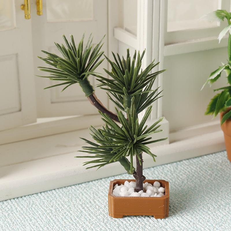 1 unidad de árbol de pino de s - Bonsai Gardening reseña y precio