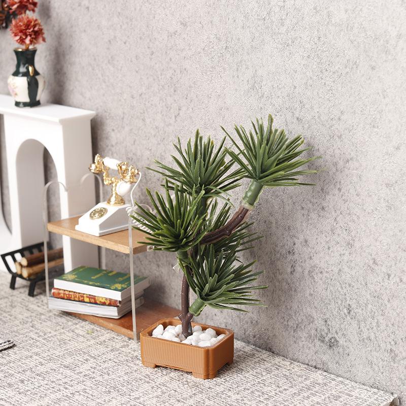 1 unidad de árbol de pino de s - Bonsai Gardening reseña y precio