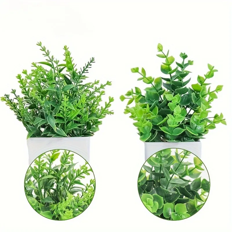 Venta al por mayor, bonsái Art - Bonsai Garden Home reseña y precio