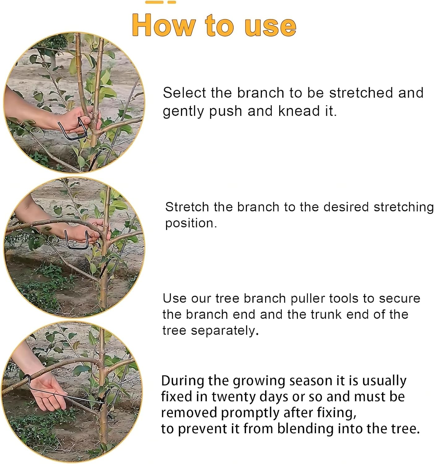 Diseñador de Ramas Ajustable p - Bonsai Gardening reseña y precio