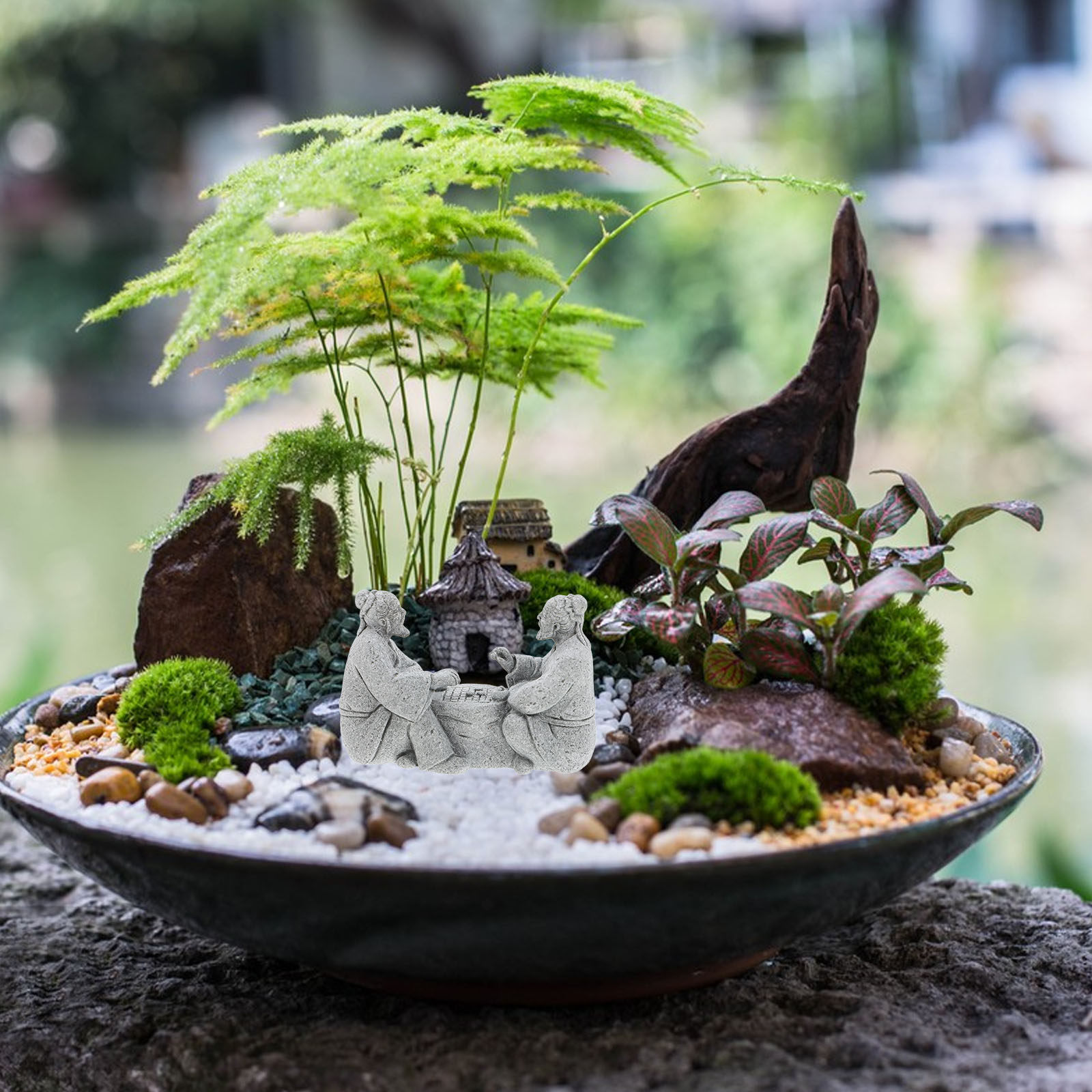 2 Piezas de Juego de Ajedrez d - Bonsai Zen Garden Set reseña y precio