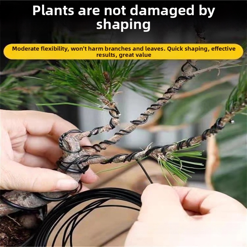 Alambres de aluminio para bons - Bonsai Garden Home reseña y precio