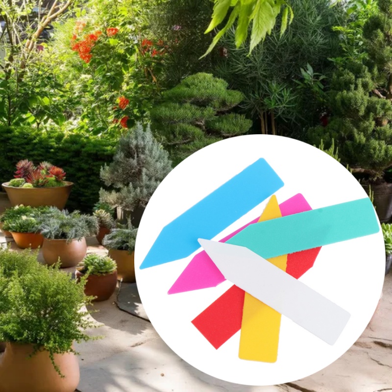 100 Uds 5*1cm etiqueta de plan - Bonsai Garden Name reseña y precio