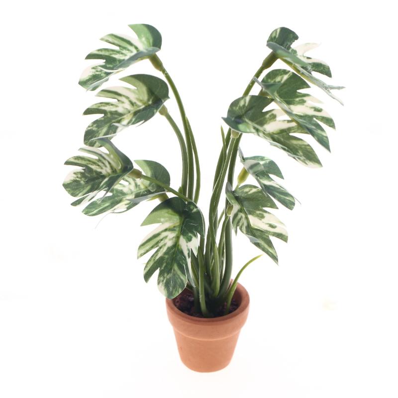 Nuevo. 1 unidad. Planta verde  - Bonsai Garden Home reseña y precio