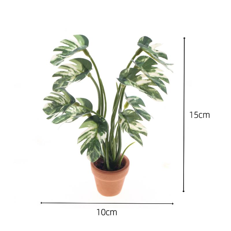Nuevo. 1 unidad. Planta verde  - Bonsai Garden Home reseña y precio