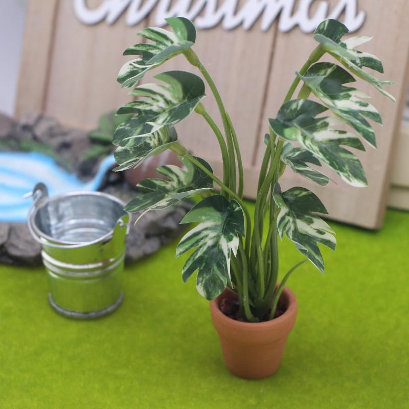 Nuevo. 1 unidad. Planta verde  - Bonsai Garden Home reseña y precio