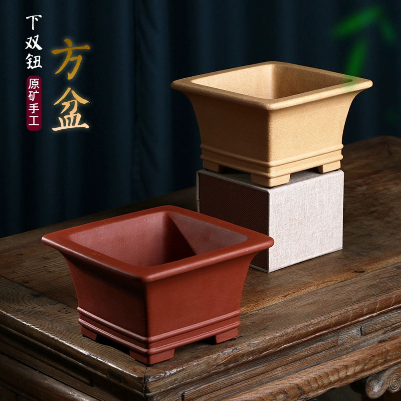 Pruple-maceta cuadrada de aren - Bonsai Garden For Desk reseña y precio