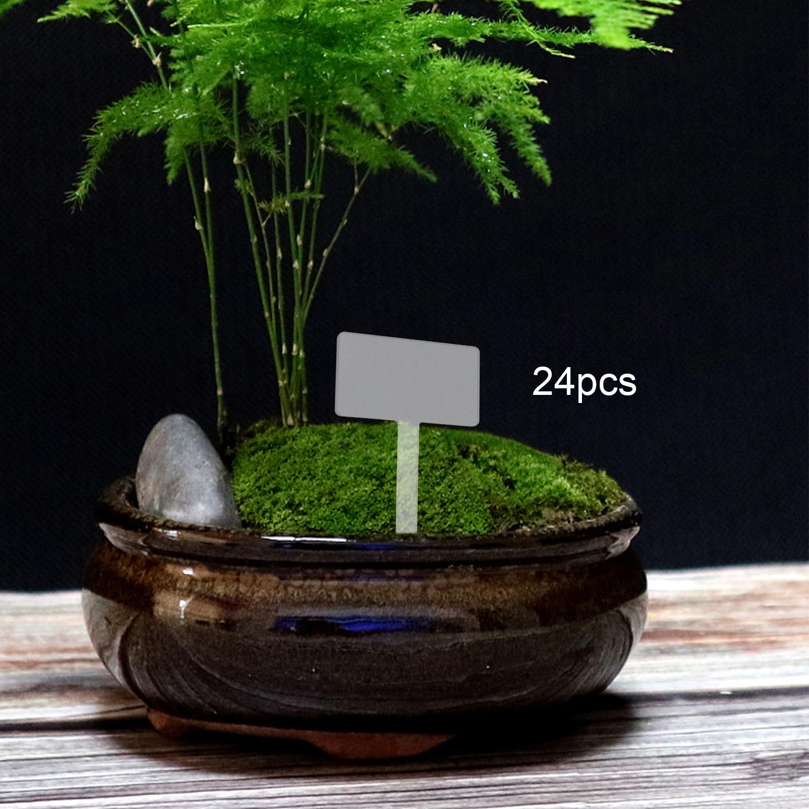 24 Etiquetas de Acrílico para  - Bonsai Garden Name reseña y precio