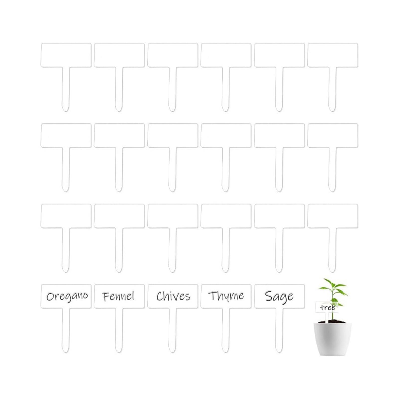 24 Etiquetas de Acrílico para  - Bonsai Garden Name reseña y precio