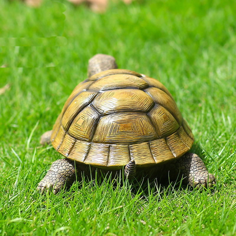Tortuga decorativa de resina p - Bonsai Garden Home reseña y precio